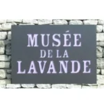 Logo - Musée de la Lavande